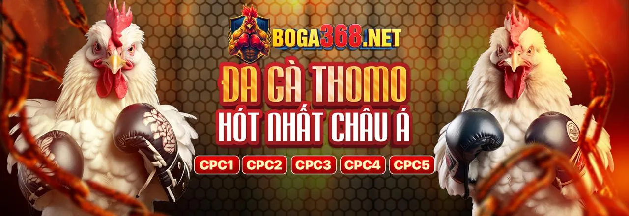 Sân vận động thể thao lớn với ánh đèn rực rỡ và người hâm mộ