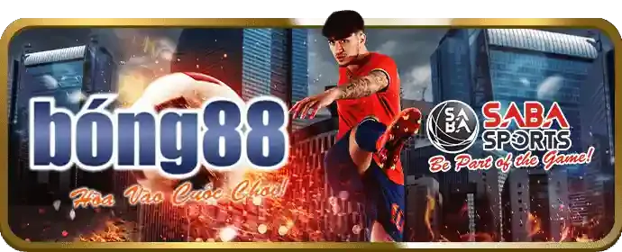 Mẹo chơi cá cược thể thao hiệu quả